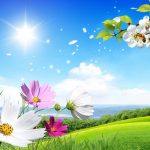 Download HD Add Nature Background To Photo Online Gif