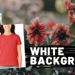 12+ Online Photo Editing And Background Background