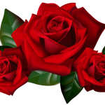 32+ Online Photo Editor Background Red Rose Pics