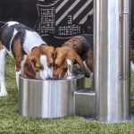 Dog Park Near Tysons Corner