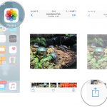 20+ How To Change Your Background Photo On Iphone PNG