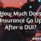 9+ How Much Is Insurance With 2 Dui