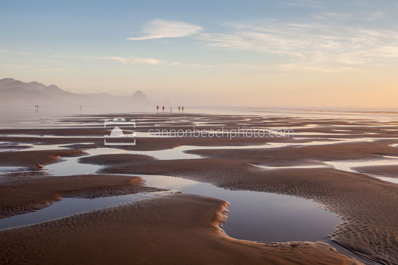 Tide Pools Golden Light in Cannon Beach - Cannon Beach Photo