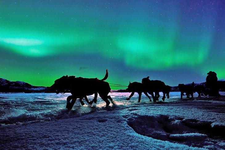 Northern Lights in Yukon, Canada