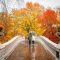 best time to see new york fall foliage Best fall foliage in new york from central park to the catskills