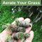 best time to aerate your lawn spring or fall Best time to aerate lawn