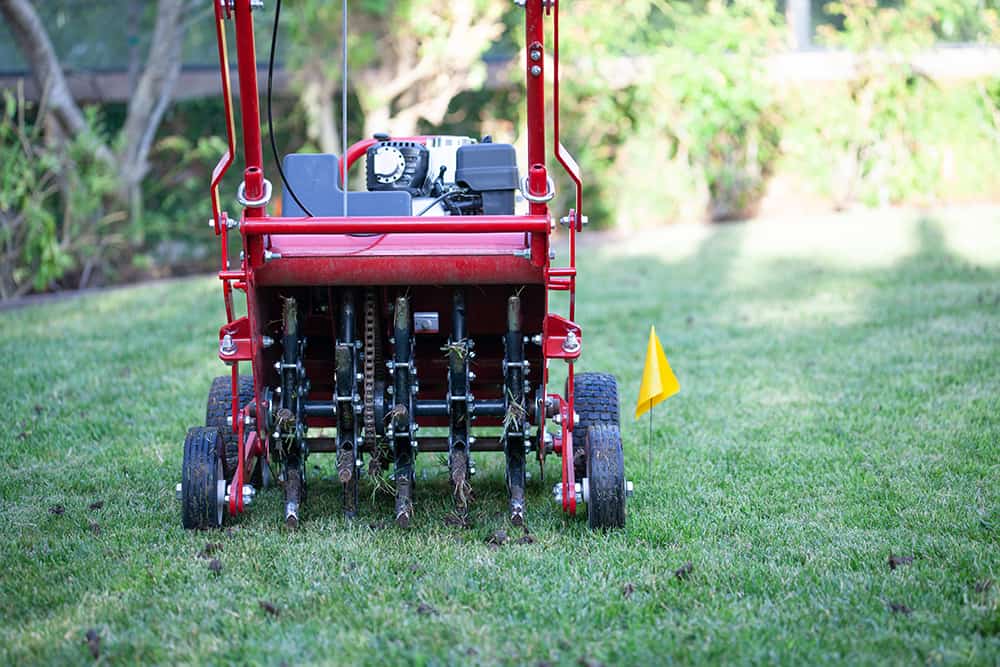 What is the Best Time to Aerate Lawn in Northeast? | Pepper's Home & Garden