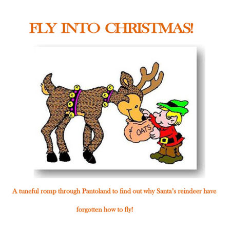 Fly Into Christmas by Helen Nelson – School Plays and Pantos