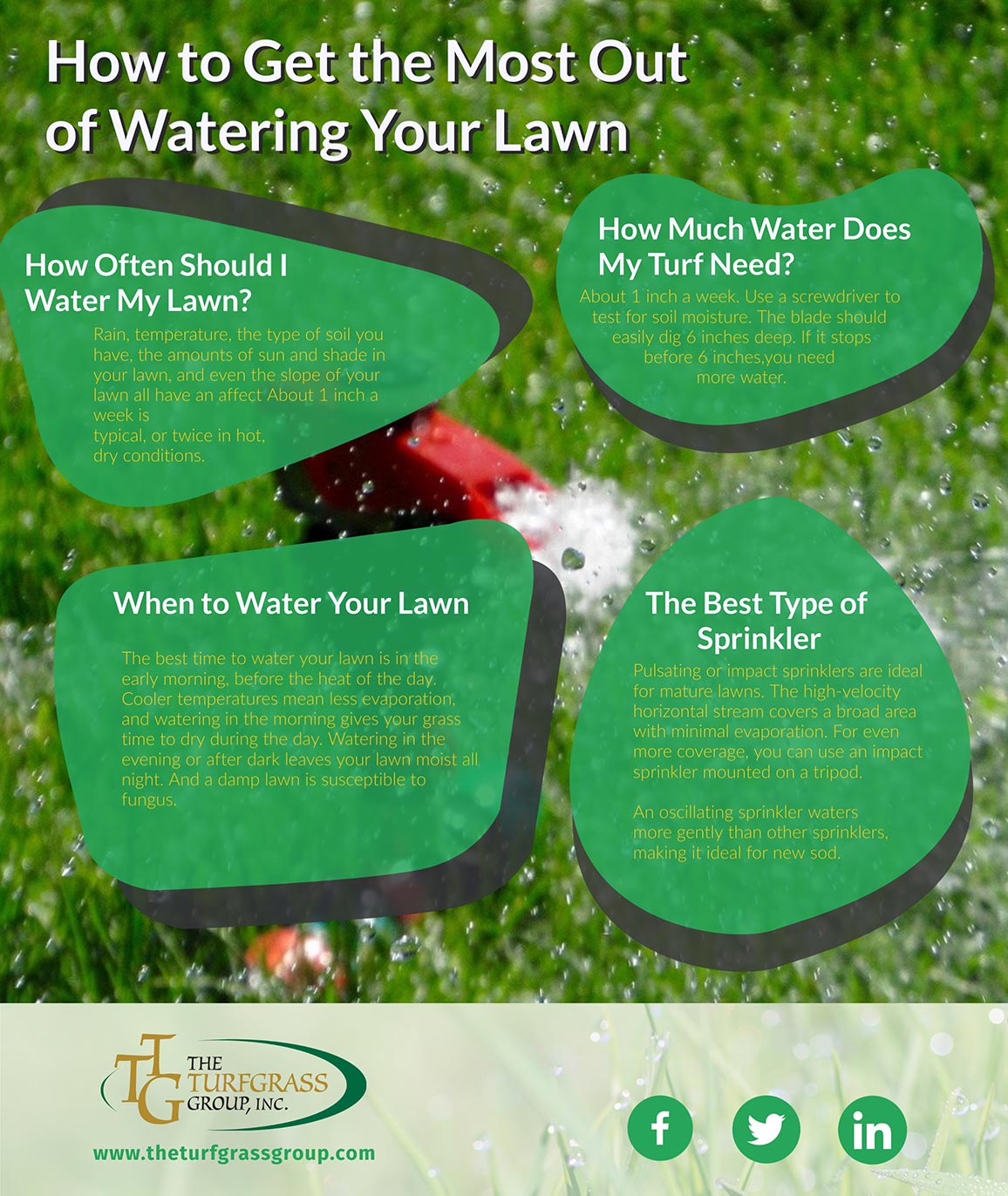 How to Get the Most Out of Watering Your Lawn | The Turfgrass Group Inc