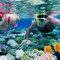 best time for diving in andaman Best scuba diving in andaman: sites you need to explore